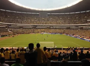 岁新星夺冠,独揽,万奖金,亚博体育,亚博体育官网,亚博体育app,亚博体育下载